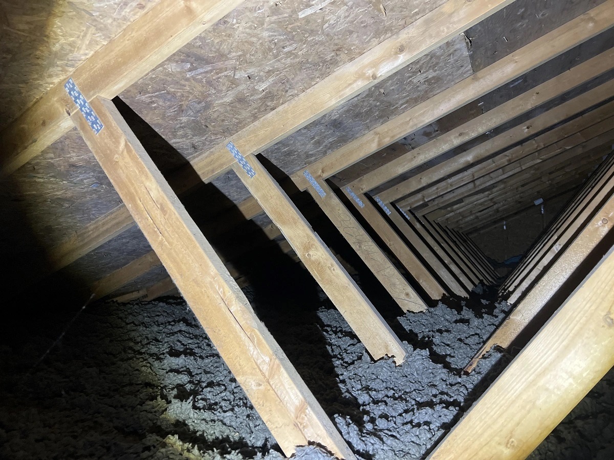 Home inspection Abbotsford attic assessment showing roof joists and insulation condition
